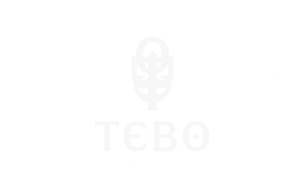 Tebo chocolates